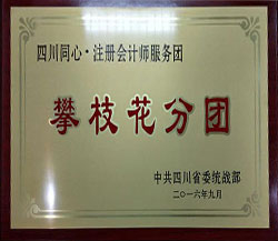 攀枝花分團